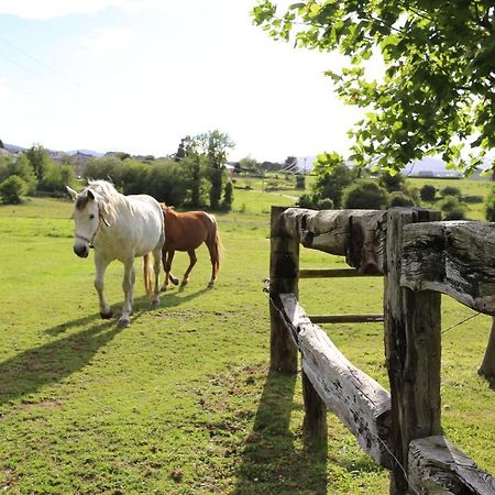 Appartamento Apartamento Docobo Ribadeo Esterno foto